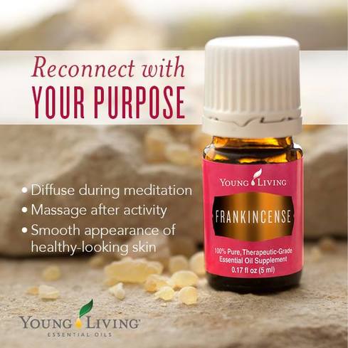 Young Living Frankincense Oil is a great support for the Integumentary, Nervous, Reproductive, Endocrine, Respiratory, and Immune Systems.  Find out some ways to use Frankincense and take The Oily Plunge on www.sherilbrasher.info & order some today at http://bit.ly/1rL8jOO. #youngliving #essential #oils 