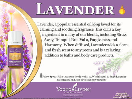 Young Living Lavender Oil is a great support for the Cardiovascular, Integumentary, Nervous, Muscular, Respiratory and Skeletal Systems.  Find out some ways to use Lavender and take The Oily Plunge on www.sherilbrasher.info & order some today at http://bit.ly/1rL8jOO. #youngliving #essential #oils 