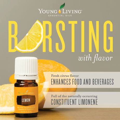Young Living Lemon Oil is a great support for 5 of the 12 Body Systems; Circulatory, Digestive, Immune, Lymphatic and the Urinary System.  Find out some ways to use Lemon and take The Oily Plunge on www.sherilbrasher.info & order some today at http://bit.ly/1rL8jOO. #youngliving #essential #oils 