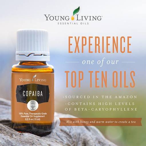 Young Living Copaiba Oil is a great support for the Muscular System, Urinary System, Integumentary System and the Skeletal System.  Find out some ways to use Copaiba and take The Oily Plunge on www.sherilbrasher.info & order some today at http://bit.ly/1rL8jOO. #youngliving #essential #oils 
