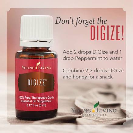 Young Living DiGize Oil is a great support for the Nervous and Digestive Systems.  Find out some ways to use DiGize and take The Oily Plunge on www.sherilbrasher.info & order some today at http://bit.ly/1rL8jOO. #youngliving #essential #oils 