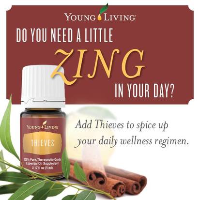 Young Living Thieves Oil Blend is a great support for the Cardiovascular, Digestive, Endocrine, Immune, Respiratory and Urinary Systems.  Find out some ways to use Thieves and take The Oily Plunge on www.sherilbrasher.info & order some today at http://bit.ly/1rL8jOO. #youngliving #essential #oils 