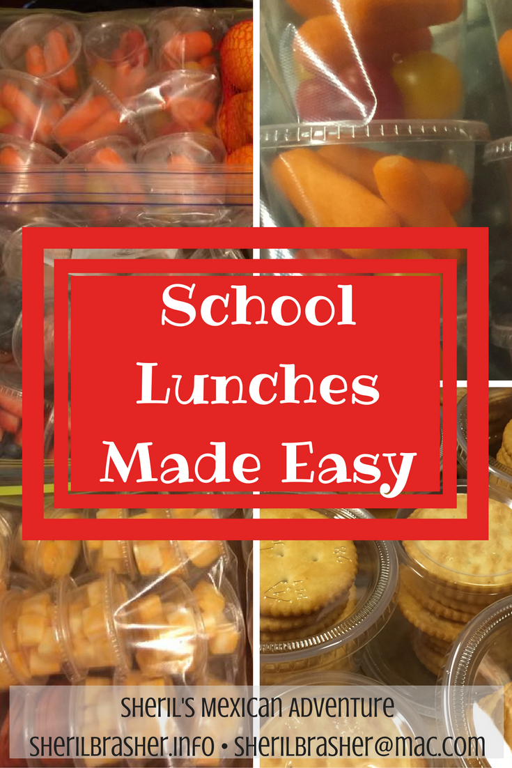 School Lunches can be easy, fast and cost-effective! I premade 20+ nutritious lunches for my niece and nephew for less than $3 each.  Find out how I did it at sherilbrasher.info.