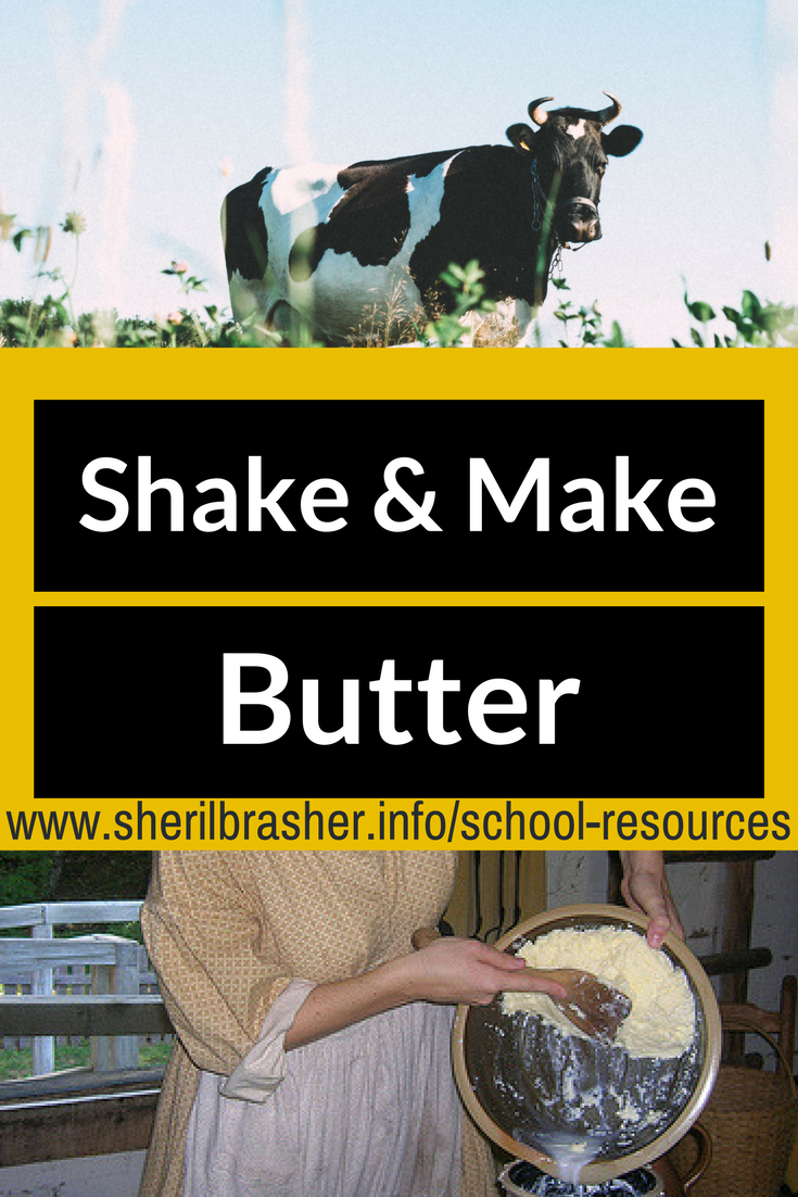 Classroom Science: Shake & Make Butter - a study in how heat and motion can be used to change the physical and chemical properties of milk. Head over to sherilbrasher.info/school-resources to see how we did it. 